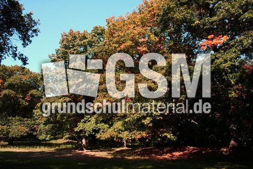 Herbststimmung- 038.jpg